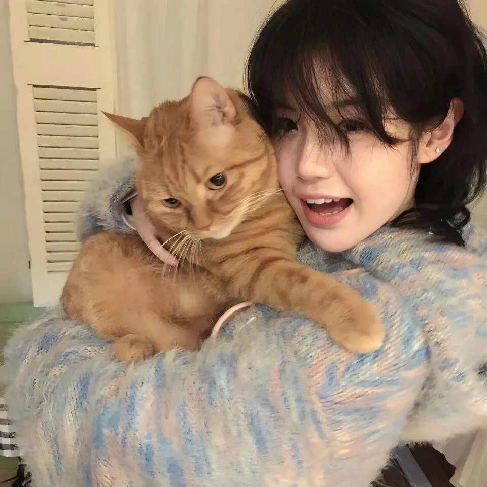 王者荣耀：荣耀之章碎月篇